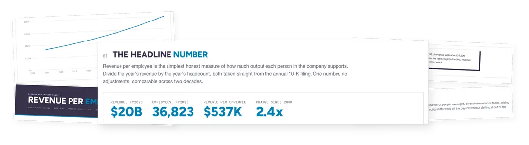 Revenue per Employee Audit — sample deliverable