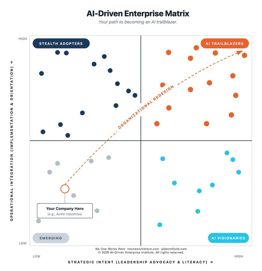 AIDE Matrix — high-resolution diagram from No One Works Here