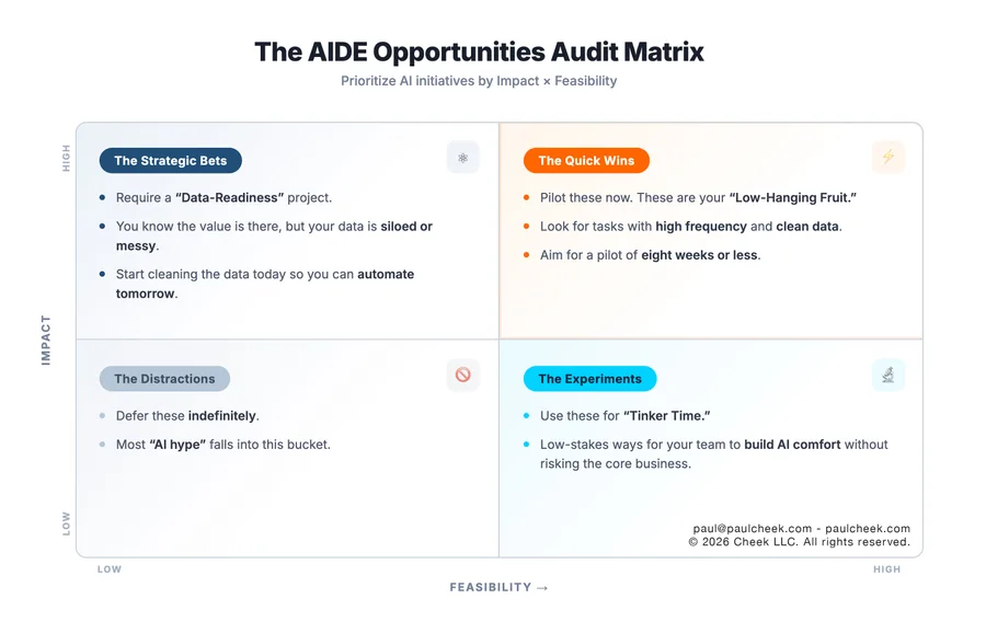 AIDE Opportunities Audit Matrix — high-resolution diagram from No One Works Here